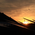 Photos: 149 十王の太陽光発電