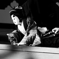 Photos: 真壁白井座の人形浄瑠璃