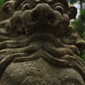 Photos: 396 山神社の獅子狛犬