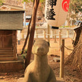 Photos: 831 大久保鹿嶋神社の狛鹿