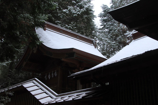 Photos: 395 日立鉱山 山神社