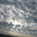 Photos: ウロコ雲広がる朝の空♪