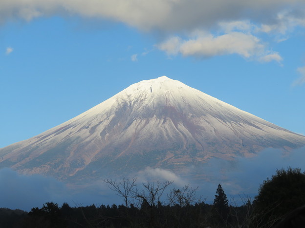 Photos: 雪化粧の富士山