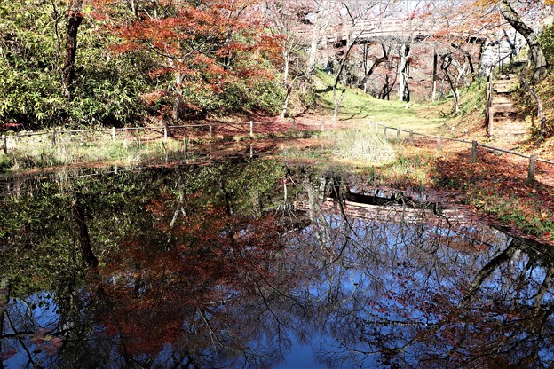 池に映し出す太鼓橋と紅葉