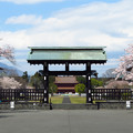 総門から三門を望む、桜の季節。