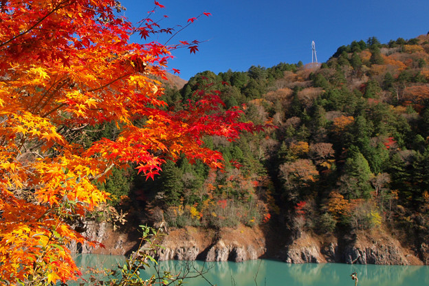 Photos: ダム湖も盛りのもみじ日和。