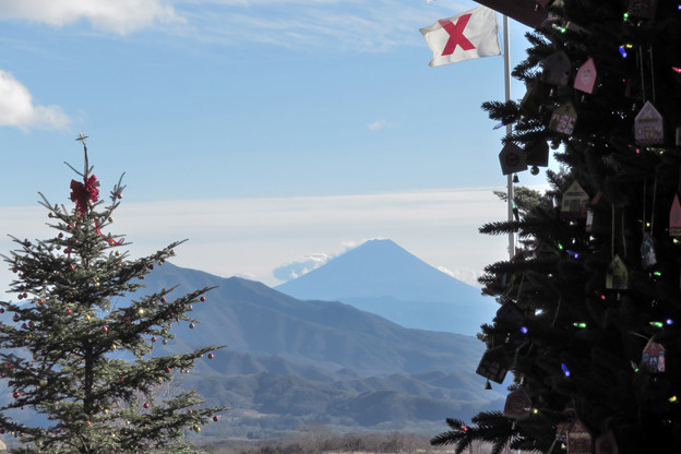 山並み見下ろすクリスマスツリー。