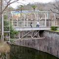 Photos: 東山動植物園のライオン舎 - 8：ライオン舎にかかる橋
