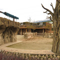 Photos: 東山動植物園のアジアゾウ舎「ゾージアム」 - 17