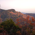 Photos: 大谷山の送電線鉄塔下 - 6：紅葉した木々越しに見た採石場の斜面
