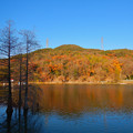 大久手池沿いから見た紅葉した冬の大谷山
