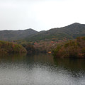 築水池沿いから見た冬の大谷山と弥勒山