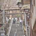 Photos: 伊香保神社