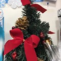 Photos: 12.2旅先その6.Mini XmasTree松ぼっくり＆赤リボン♪小さなクリスマスツリーも好き(^^)美味しそう松がお菓子の様で食べたい愛をください小さな幸せに気づく事ができたから撮れた些細で誰も…