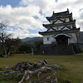 Photos: 現存12天守の一つ宇和島城