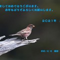 Photos: 新年のご挨拶(2)044A7528