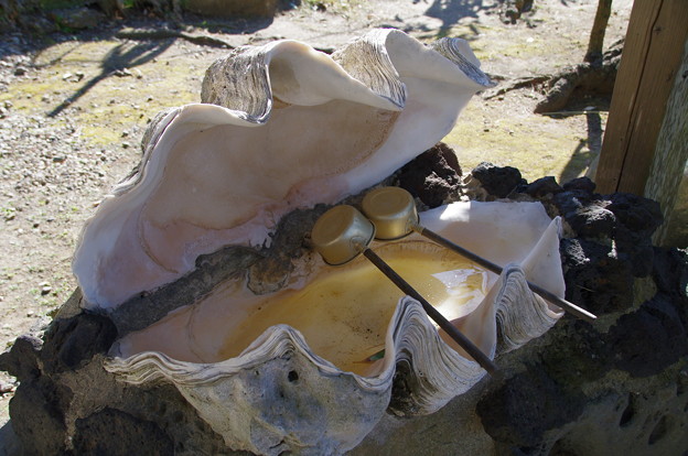 シャコガイの手水鉢