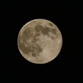 Photos: Full Moon