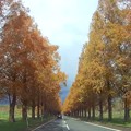 Photos: Autumn Highway