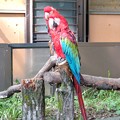 Photos: 多摩動物公園_3203