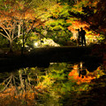 Photos: 秋の夜散歩
