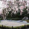 Photos: 退蔵院・陽の庭1