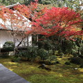 Photos: 西明寺・庭園2
