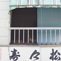 Photos: 窓辺