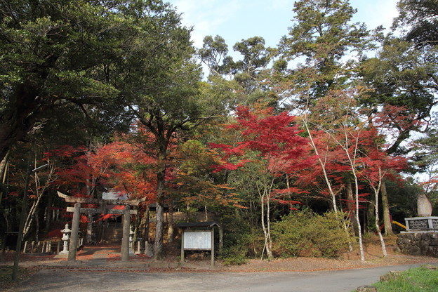 Photos: 住吉神社の紅葉・・ちょっと遅め