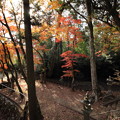 Photos: 住吉神社の紅葉