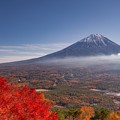 鳴沢村　紅葉台より望む富士山　その１