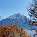 Photos: 鳴沢村　紅葉台より望む富士山　その３