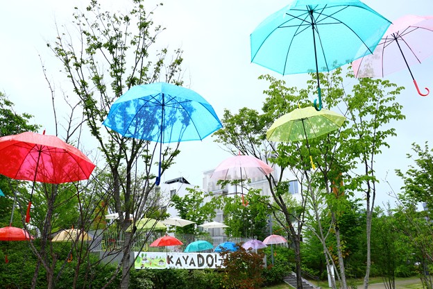 Photos: 雨空に浮かぶ傘