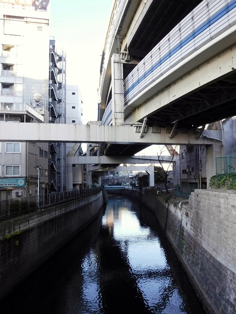 二ノ橋から小山橋　2019-1-24