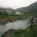 Photos: 長良川の流れ８