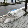 彦根の残雪12