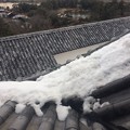 彦根城に残雪