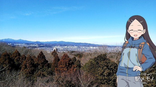 桜山展望台から飯能方面