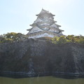 内堀の外から見る大阪城