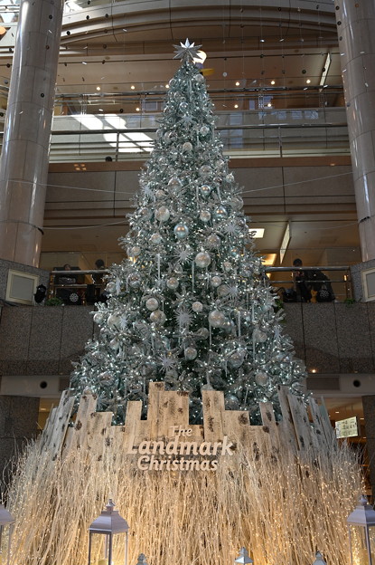 Photos: ランドマークのクリスマスツリー