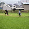 Photos: 農作業中01-12.07.06