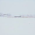 Photos: 吹雪01