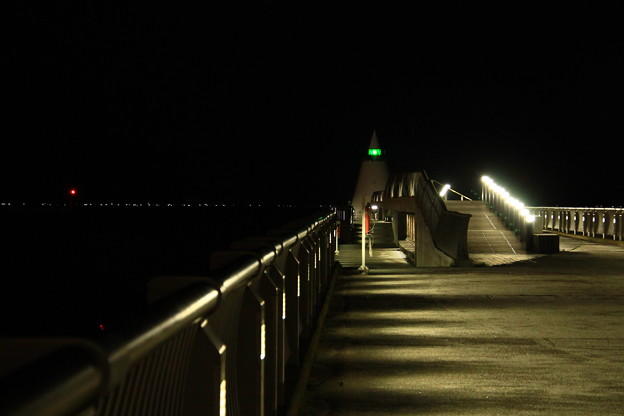 埠頭の夜景１