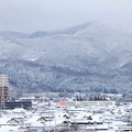 Photos: ー４℃以下の雪景色