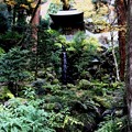 Photos: 大雄山の寺院３