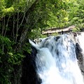 Photos: 林の脇で落ちる龍門の滝