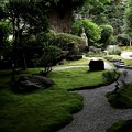 Photos: 報国寺の庭園