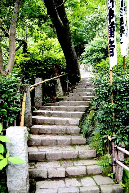 杉本寺への石段