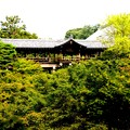 東福寺通天楼風景