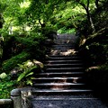 Photos: 東福寺の庭園